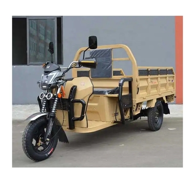 Motocycles à trois roues Camions de marchandises E Tricycles / Trikes électriques lourds
