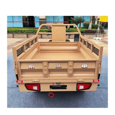 3 roues Inde Adult Truck Cargo Tricycle Heavy Duty For Cargo Grade Capacité ≥ 25°