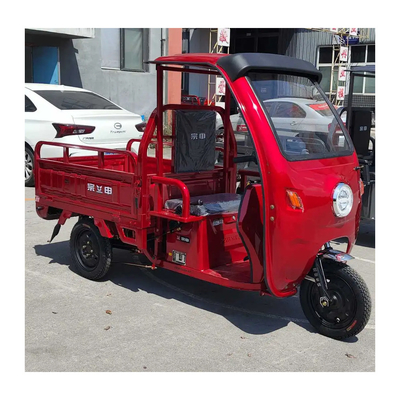 Moteur électrique batterie Cargo Ghana Tricycle moto pour adultes avec capacité de gradation ≥ 25°