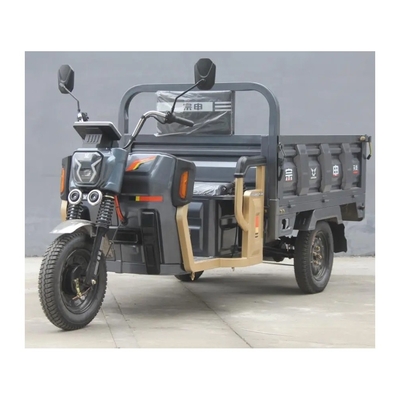 1000W moteur à trois roues tricycle électrique cargo pour adulte 1 passager type carrosserie ouverte