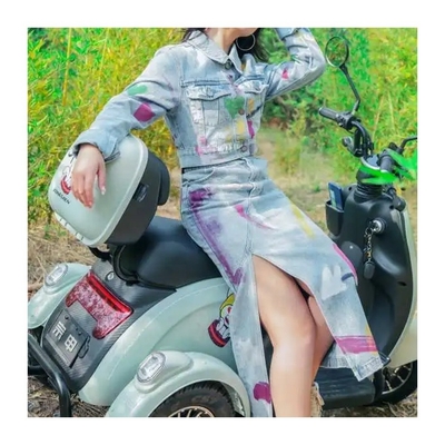 Type de corps ouvert 48V 500W Motocycles électriques à trois roues Tricycle Tuk Tuk E-Trikes en Inde