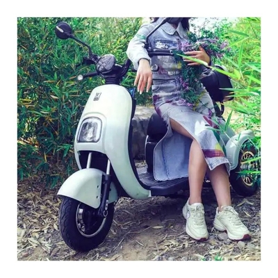 Type de corps ouvert 48V 500W Motocycles électriques à trois roues Tricycle Tuk Tuk E-Trikes en Inde