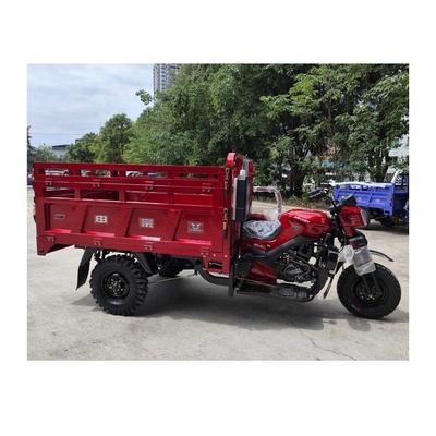 MXZS1A31 Tricycle à charge à trois roues à essence pour une capacité de classement ≥ 25° et une performance