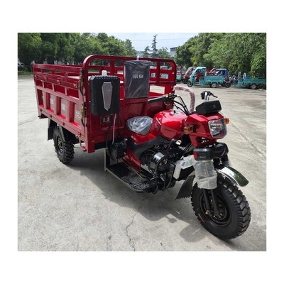 250 cc moteur à essence ouvert à gaz Tricycles motorisés avec système de freinage à tambour avant à tambour arrière