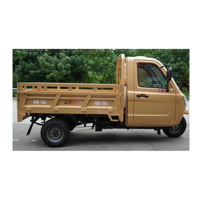 Tricycle fermé à essence pour le transport de marchandises, d'une masse de 500 kg ou plus et d'un moteur de 1000 W