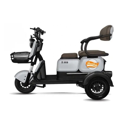 Passagers 2 Scooter électrique à trois roues Motor E-Bike pour adultes Tuk Tuk Mobilité E-Scooter