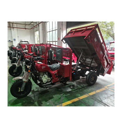 3500*1440*1450mm Tricycle motorisé avec moteur de 250cc et vitesse maximale de 50-70Km/h