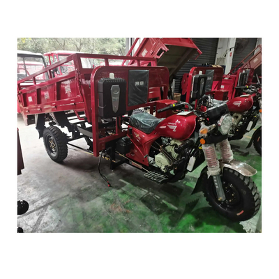 3500*1440*1450mm Tricycle motorisé avec moteur de 250cc et vitesse maximale de 50-70Km/h