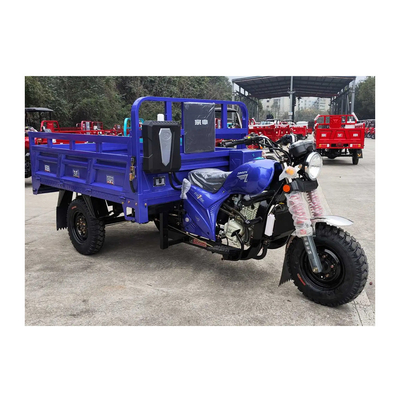 3500*1440*1450mm Tricycle motorisé avec moteur de 250cc et vitesse maximale de 50-70Km/h