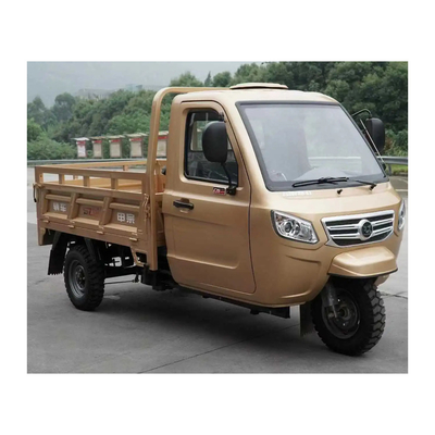 Tricycle fermé à essence de 1000 W polyvalent pour des applications polyvalentes