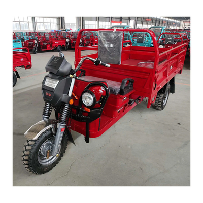 100A/130A Trimoto La solution parfaite pour vos besoins de transport