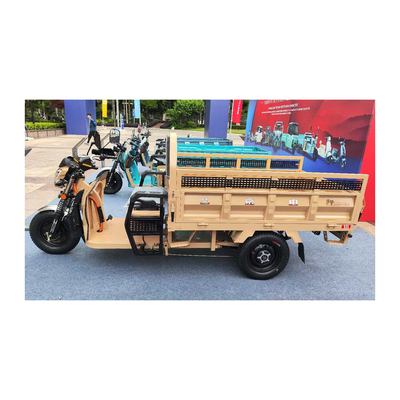 Etrike électrique à 3 roues avec freins à tambour avant et freins à tambour arrière et kilométrage de 70-90 km