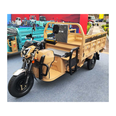 Capacité de classement ≥ 25° Tricycle de charge pour adultes Parfait pour le transport de charges lourdes