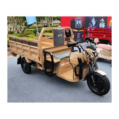 Capacité de classement ≥ 25° Tricycle de charge pour adultes Parfait pour le transport de charges lourdes